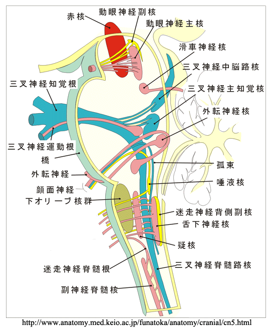 図 23