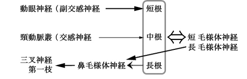 図 26