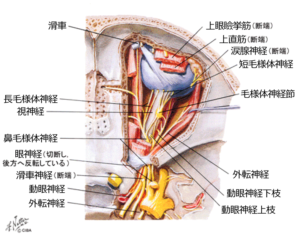 図 28