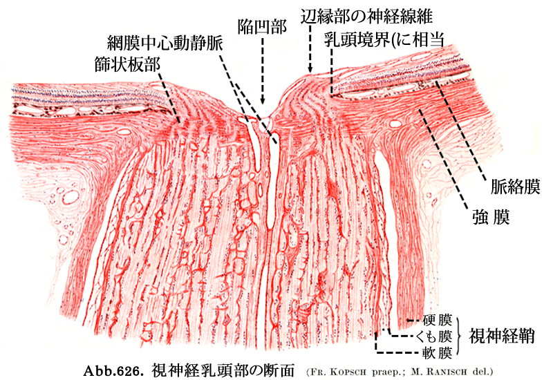 図 11