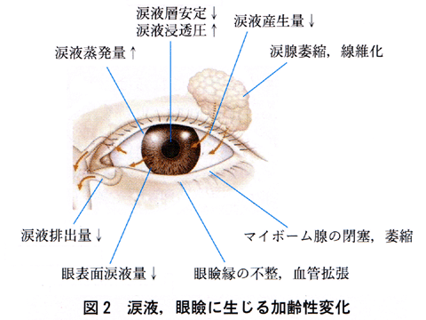 図 18