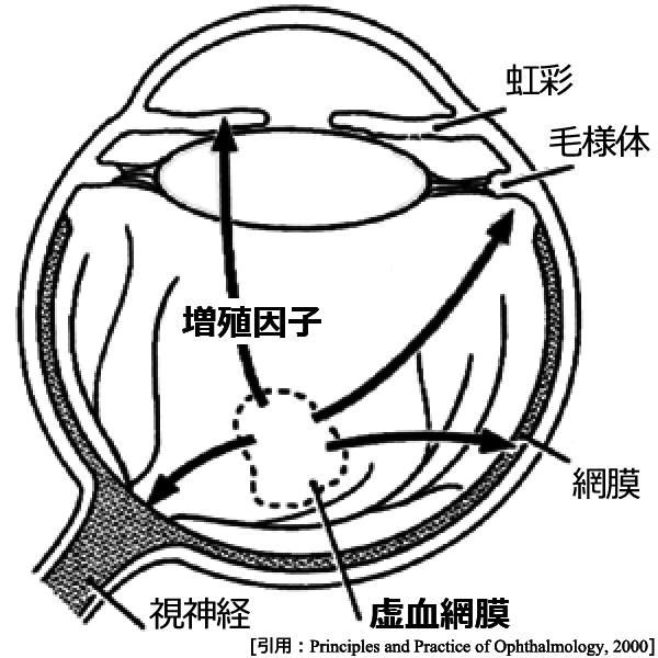 図 75