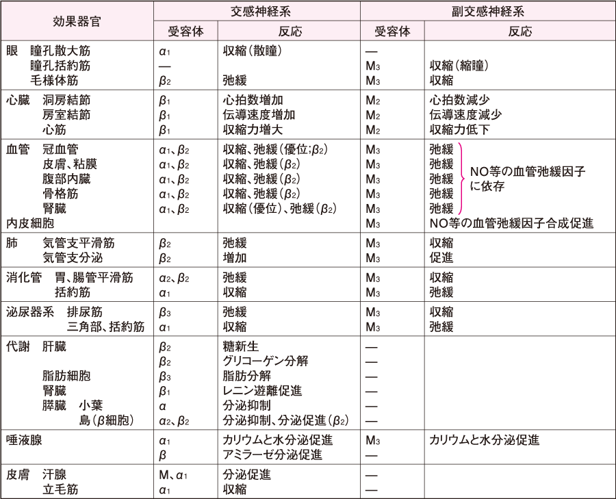 図 補５