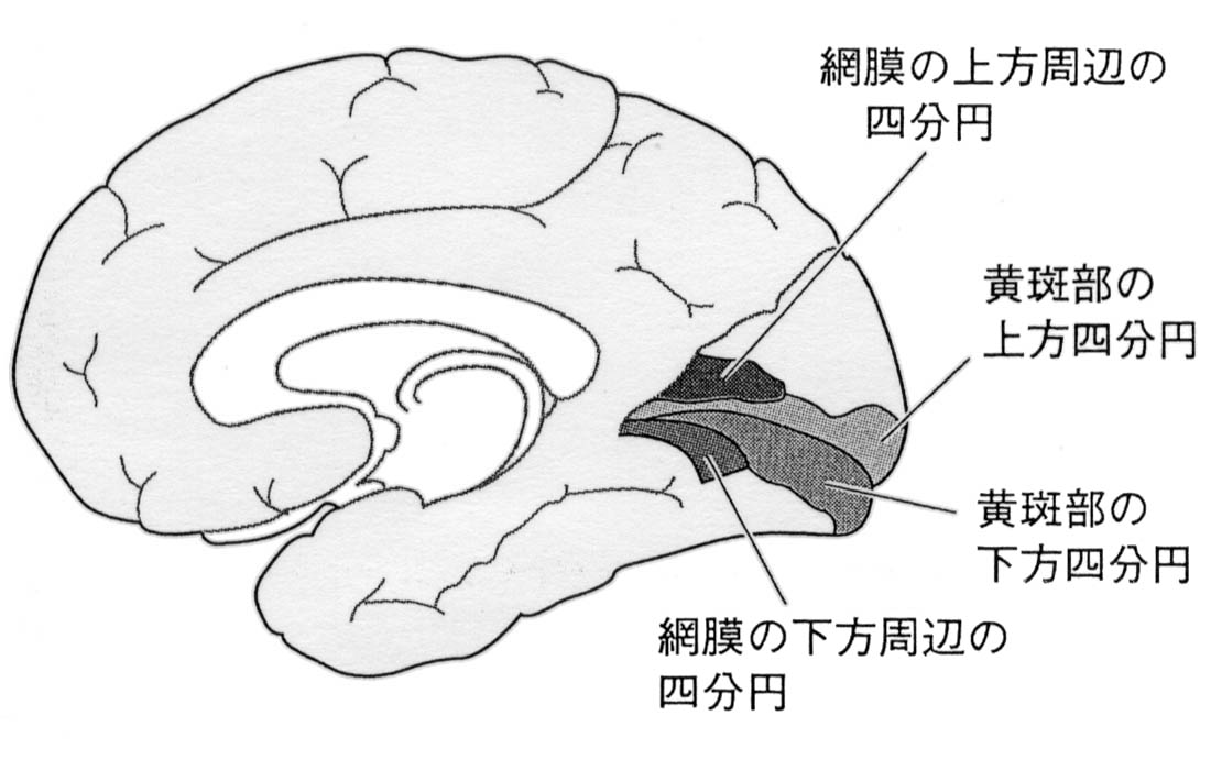 図 補