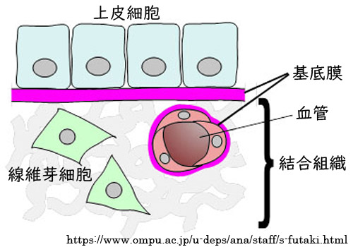 図 補