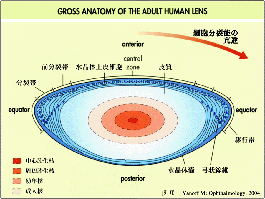 図 08