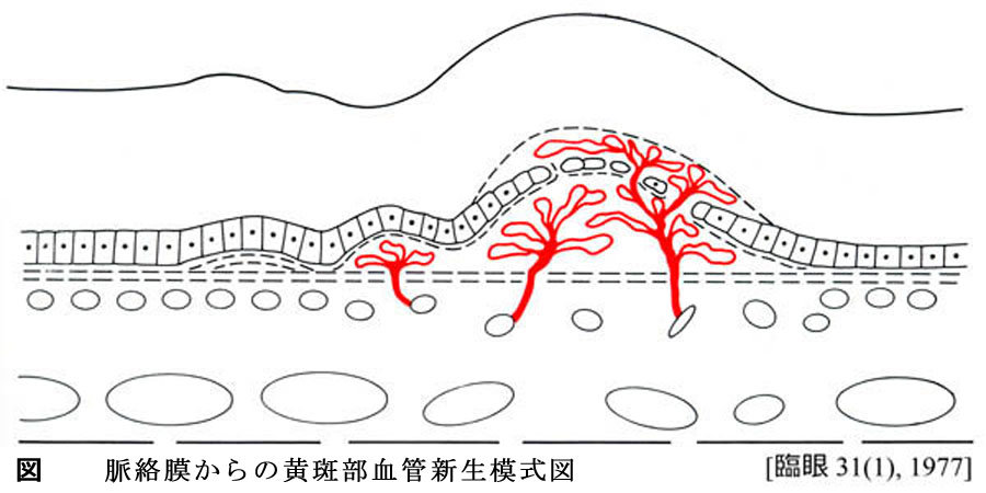 図 07