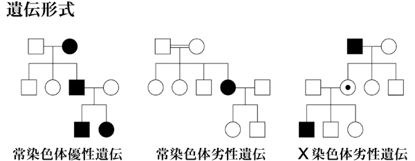 図 02 遺伝