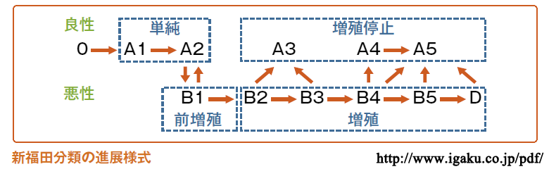 図 05