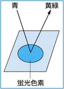 図 01