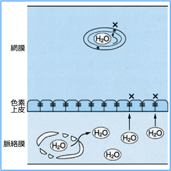 図 09