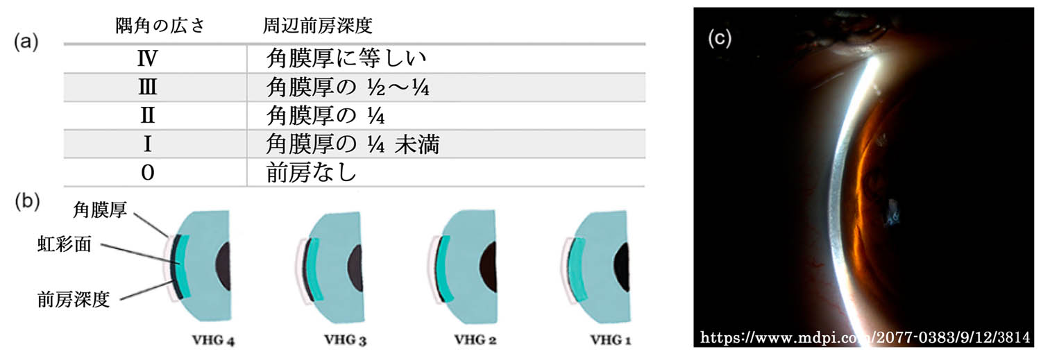 図 補 ヘリック