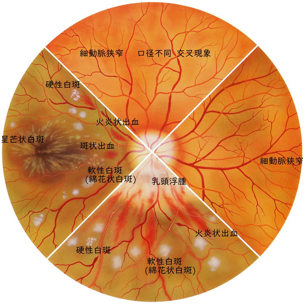 図 05