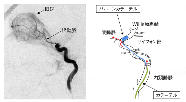 図 09