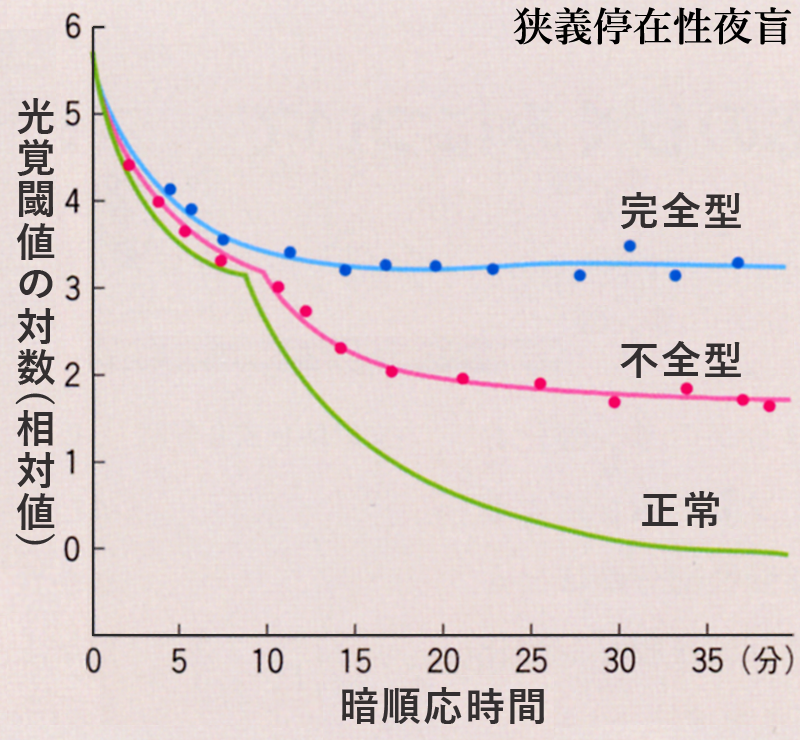 図 補 暗順応