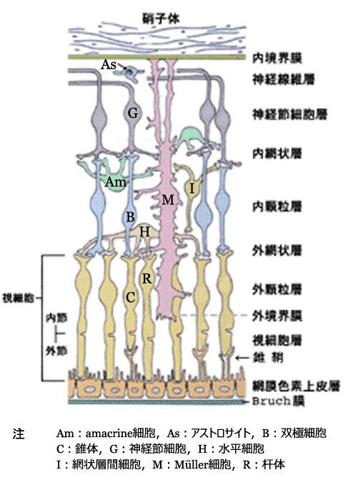 図 20