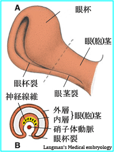 図 15