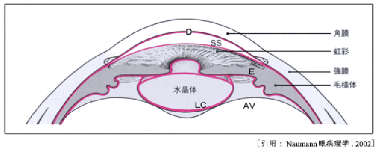 図 18