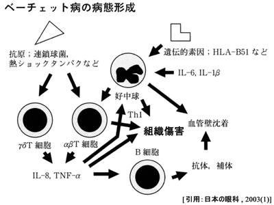 図 03 外因