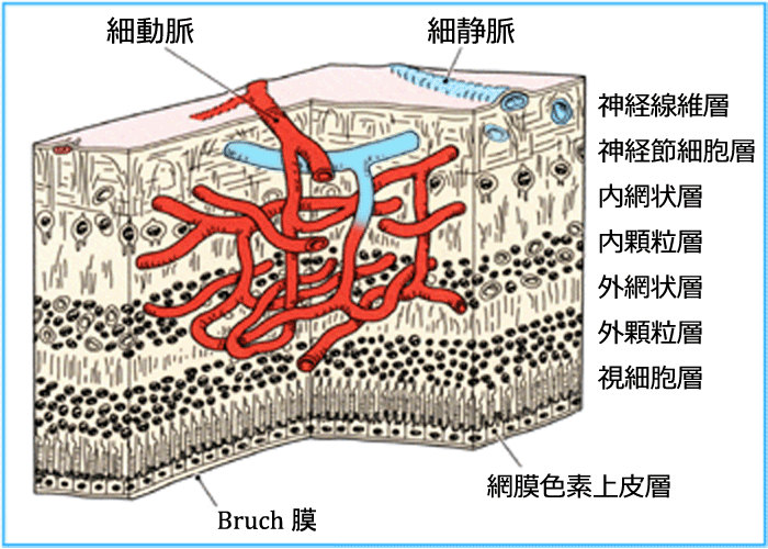 図 27