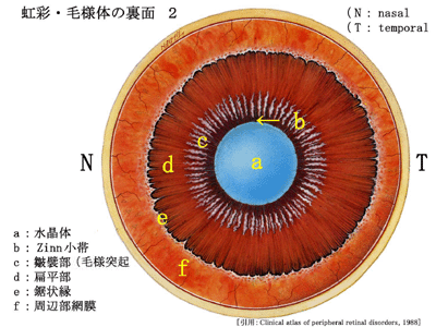 図 17