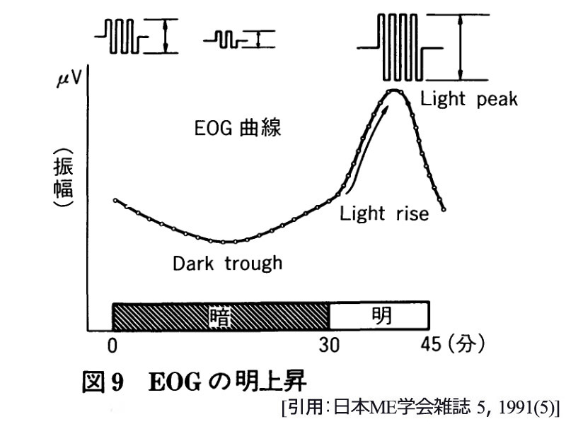 図 補