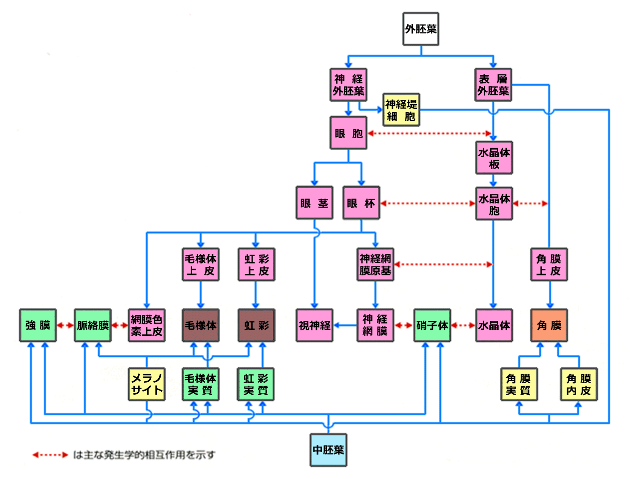 図 発生起源