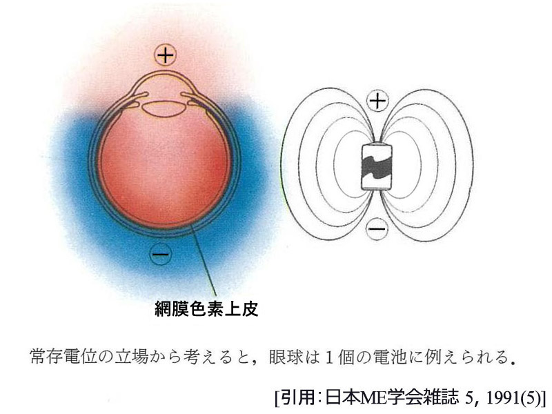 図 01 電場