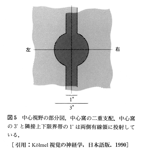 図 補