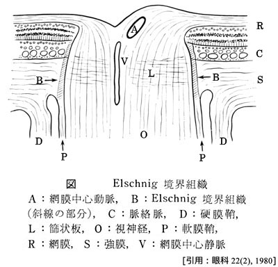 図 補１