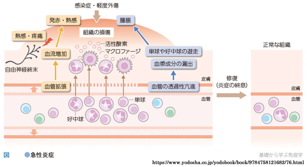 図 補