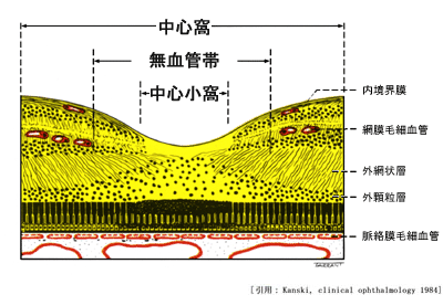 図 19