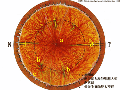 図 18