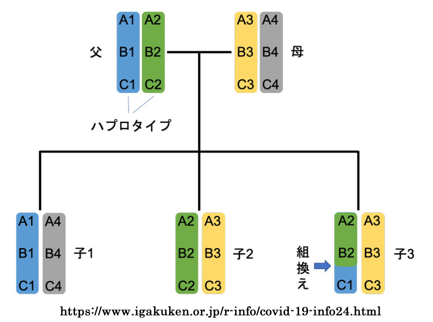 図 補