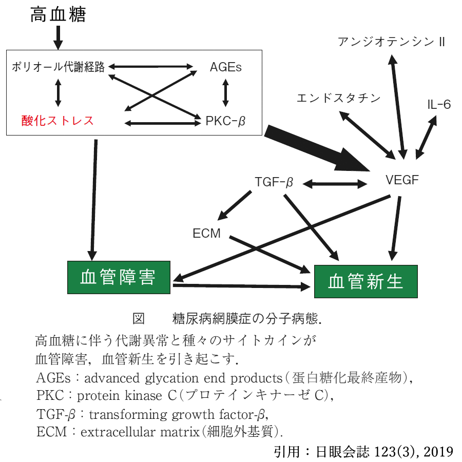 図 補