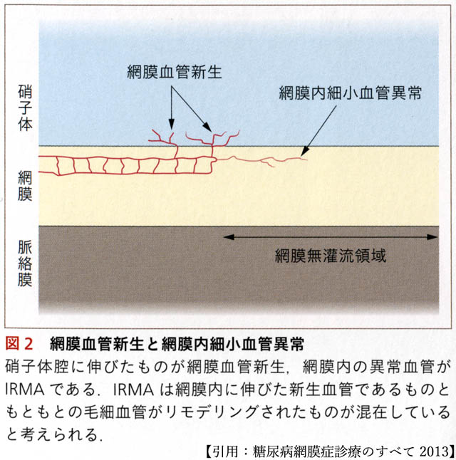 図 補