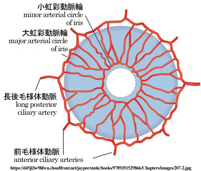 図 補