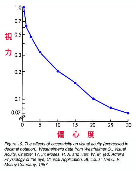 図 補 偏心視力