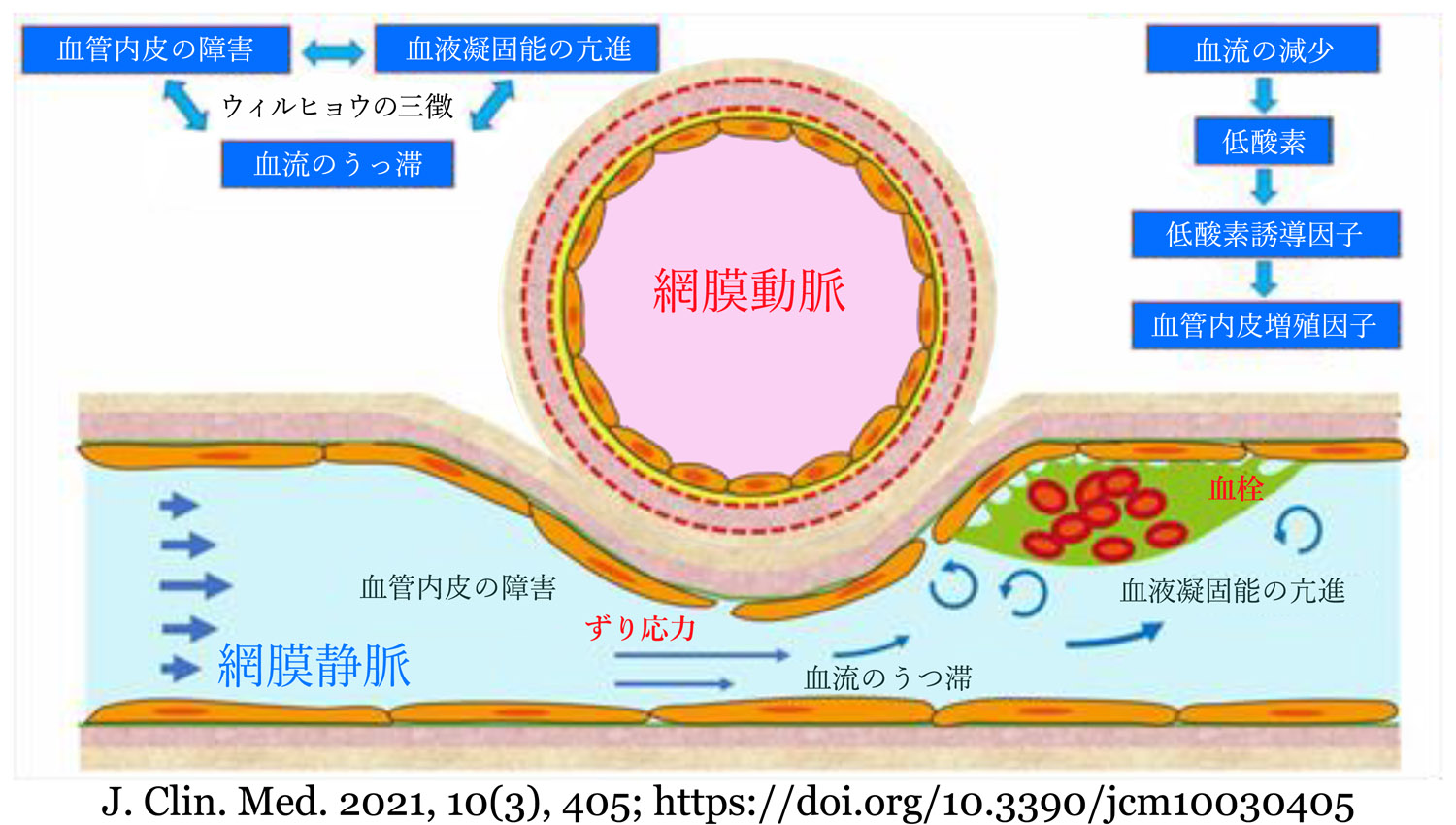 図 補