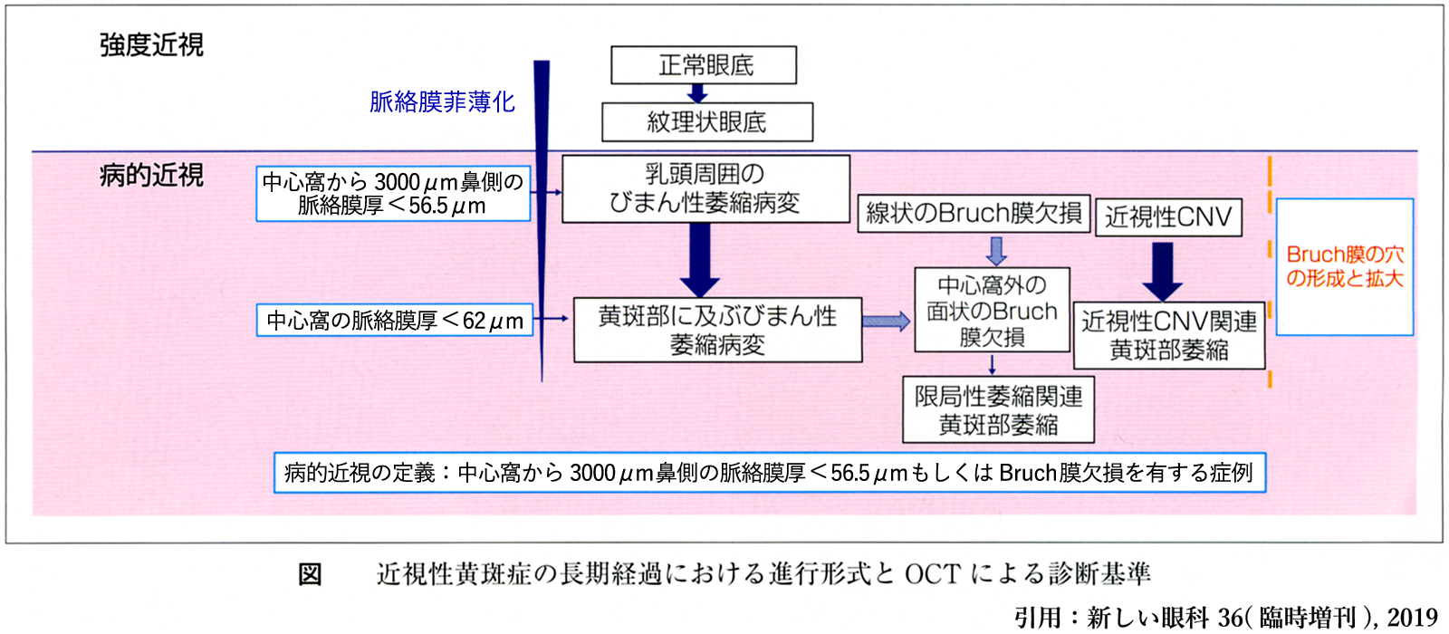 図 補