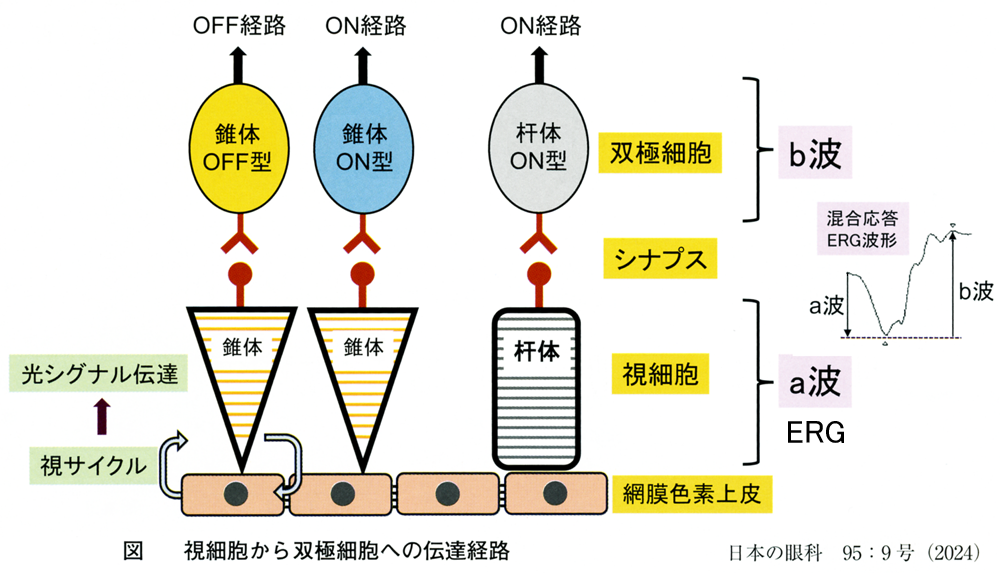 図 補
