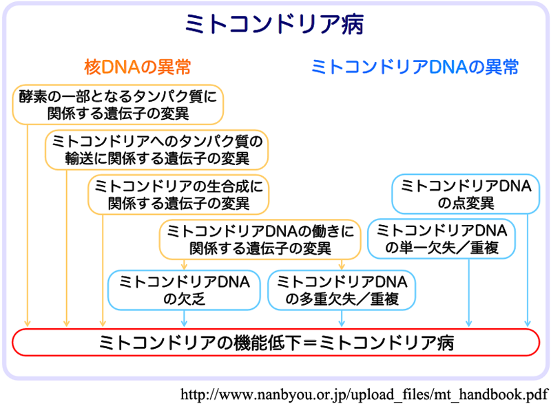 図 03
