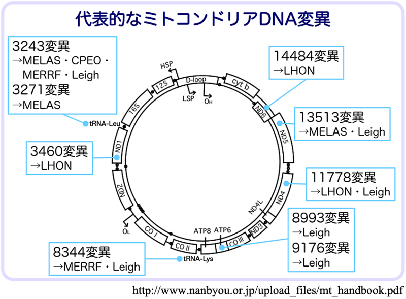 図 04