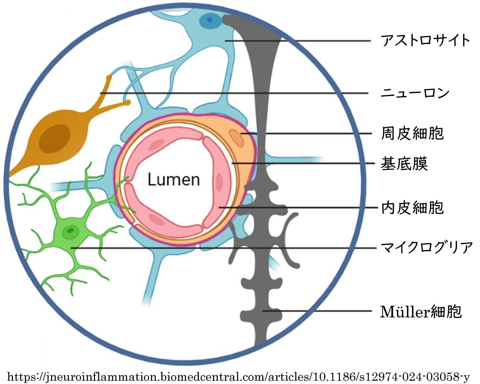 図 補