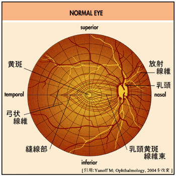 図 09