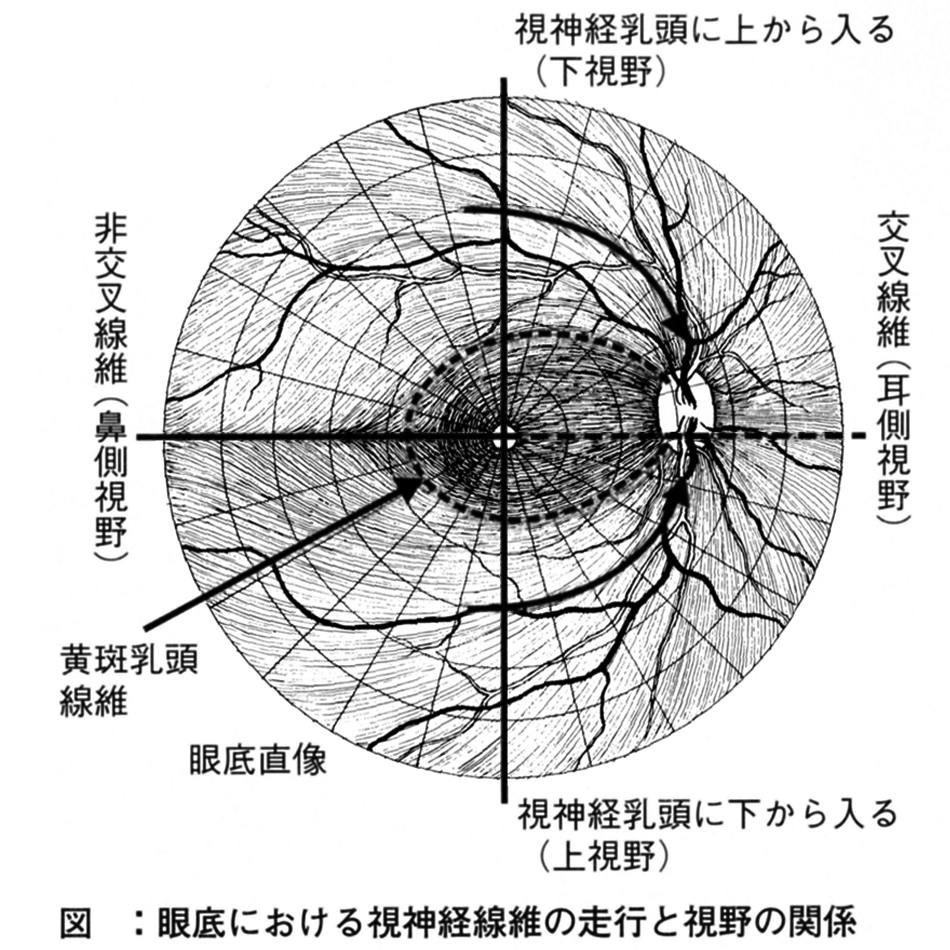 図 補