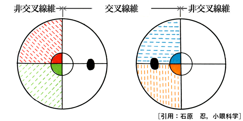 図 補