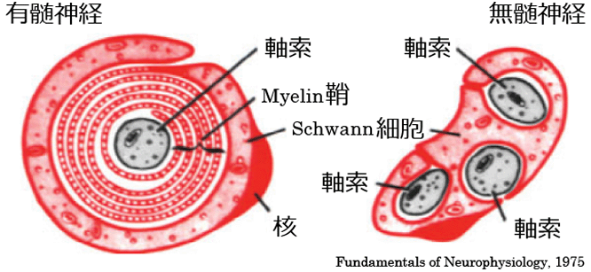 図 03