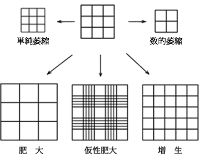 図01病変