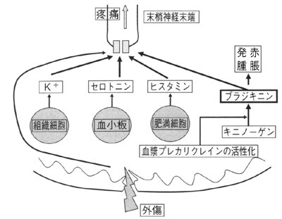 図 02疼痛